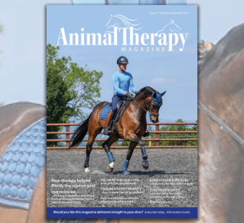 Issue 27 cover