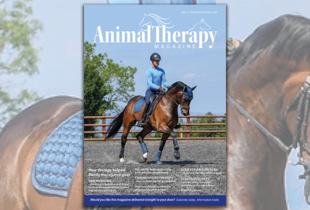 Issue 27 cover